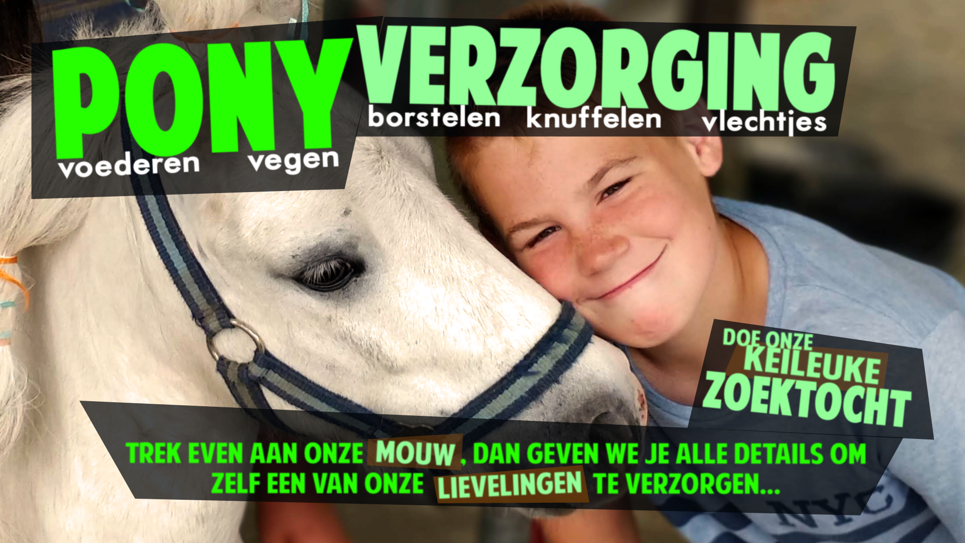 Ponyverzorging